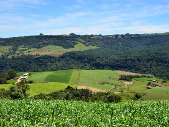 Programa catarinense libera r$ 21,9 milhões para projetos no campo