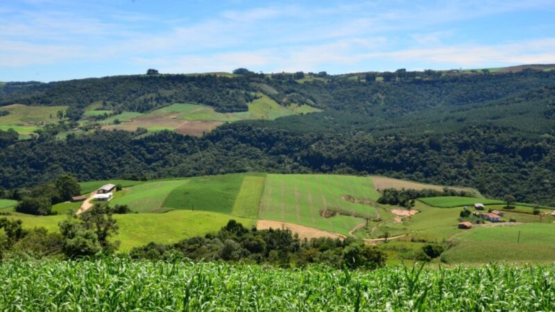 Programa catarinense libera r$ 21,9 milhões para projetos no campo