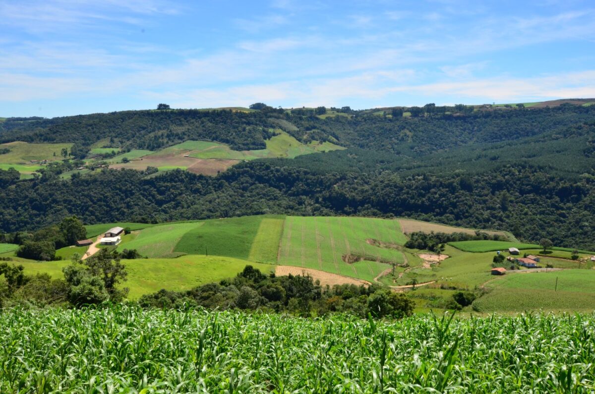 Programa catarinense libera r$ 21,9 milhões para projetos no campo