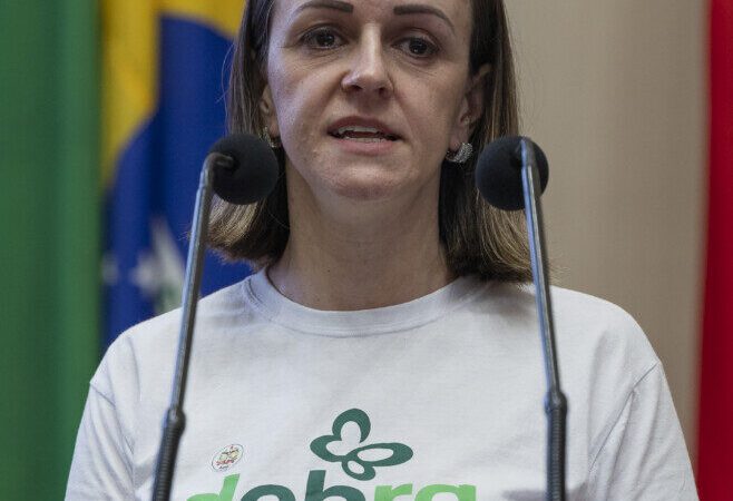 Alesc discute assistência à epidermólise bolhosa em SC