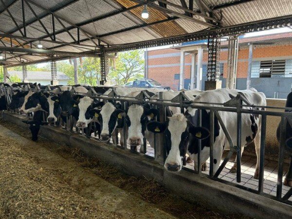 Brde marca presença na Expolages 2026 para impulsionar o agro na serra catarinense