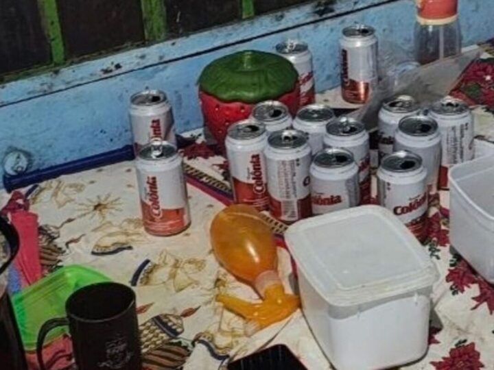 Três irmãos famintos furtam carro em Santa Catarina após ordem da mãe