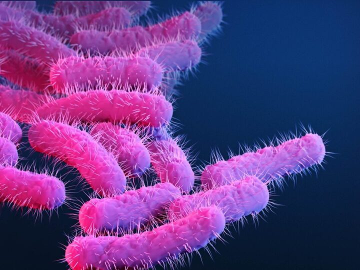 Diarreia transmitida sexualmente mostra resistência a antibióticos