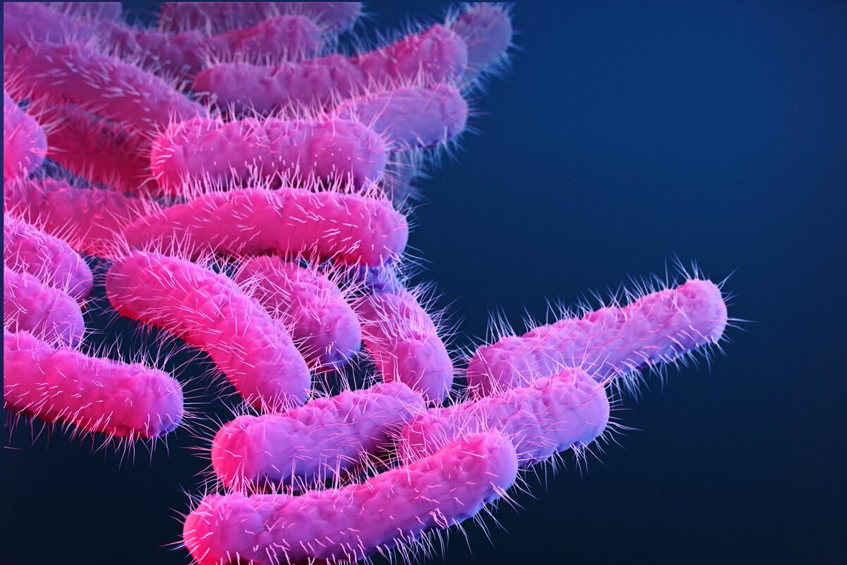Diarreia transmitida sexualmente mostra resistência a antibióticos