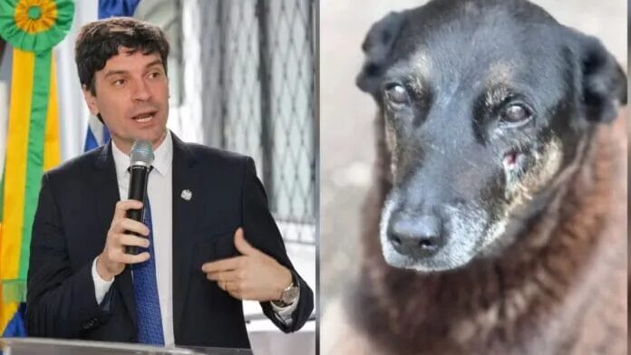 Eleito deputado, delegado do caso Orelha admite erro da polícia