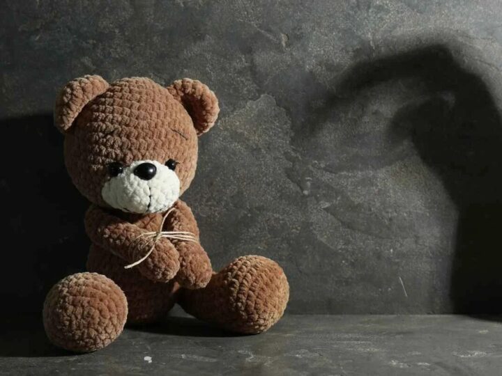 Estuprador de vulnerável pega 53 anos em Santa Catarina