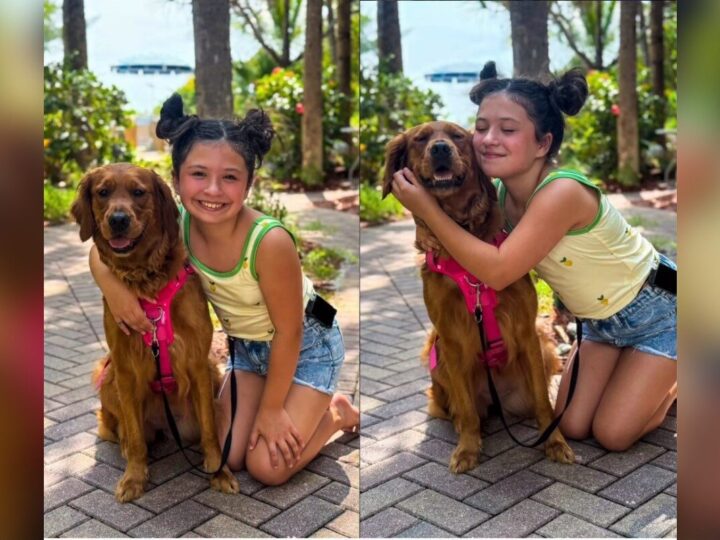 Cachorra ajuda menina de 11 anos a monitorar diabetes tipo 1
