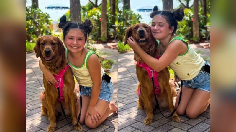 Cachorra ajuda menina de 11 anos a monitorar diabetes tipo 1