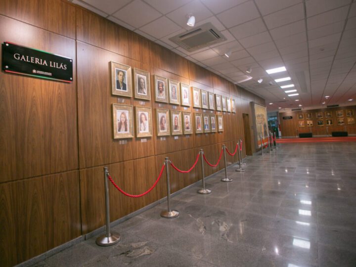 Mulheres conquistam as duas maiores votações e 5 vagas na Alesc