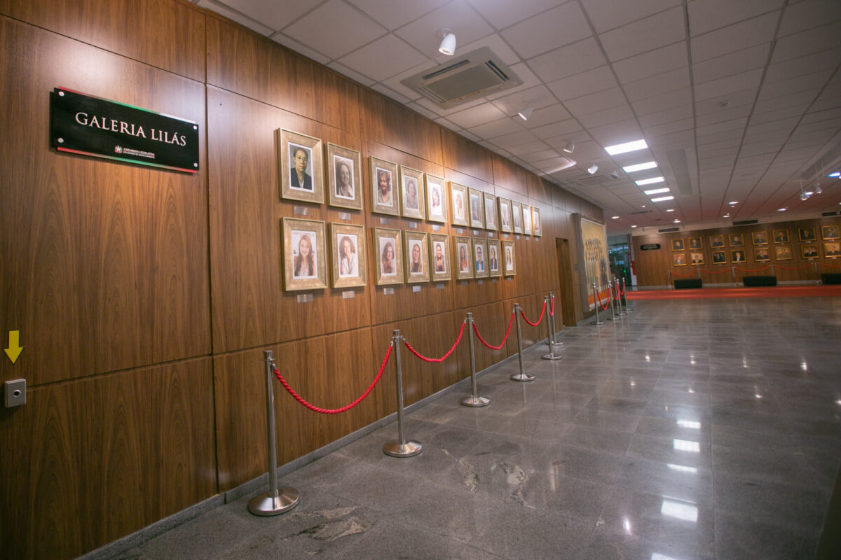 Mulheres conquistam as duas maiores votações e 5 vagas na Alesc