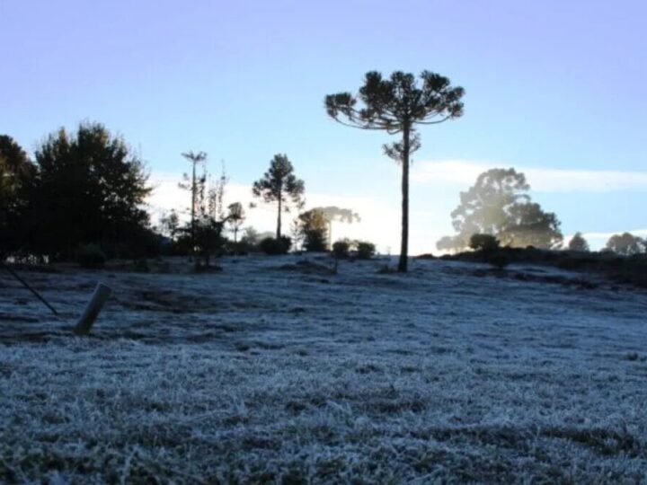 Cidade mais fria do Brasil tem 50 geadas ao ano e chega a -8°C