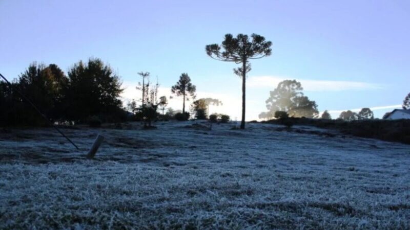 Cidade mais fria do Brasil tem 50 geadas ao ano e chega a -8°C