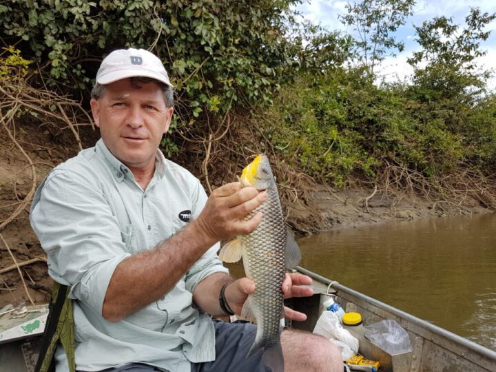 Reinaldo Langa morre aos 62 anos em Curitiba