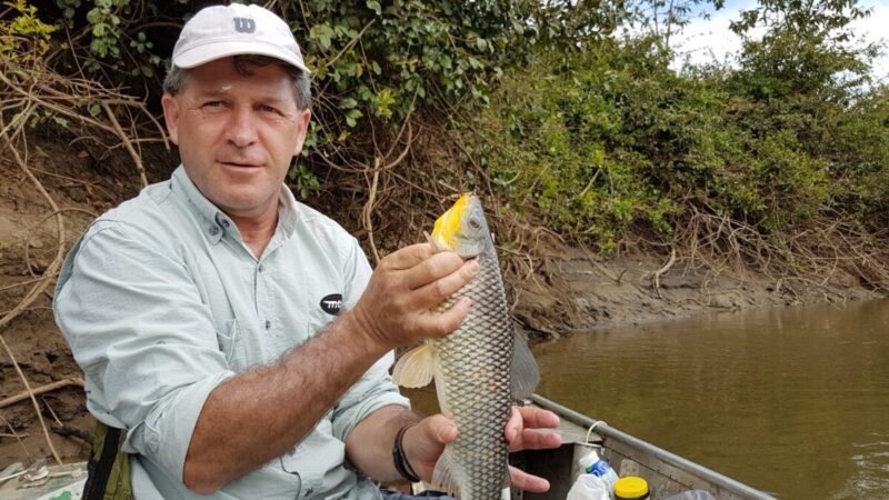 Reinaldo Langa morre aos 62 anos em Curitiba