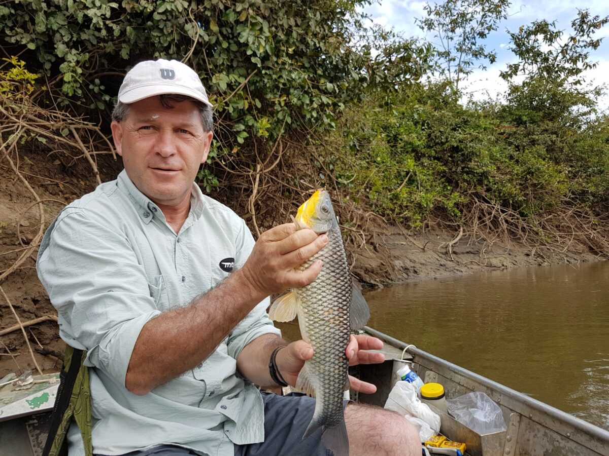 Reinaldo Langa morre aos 62 anos em Curitiba