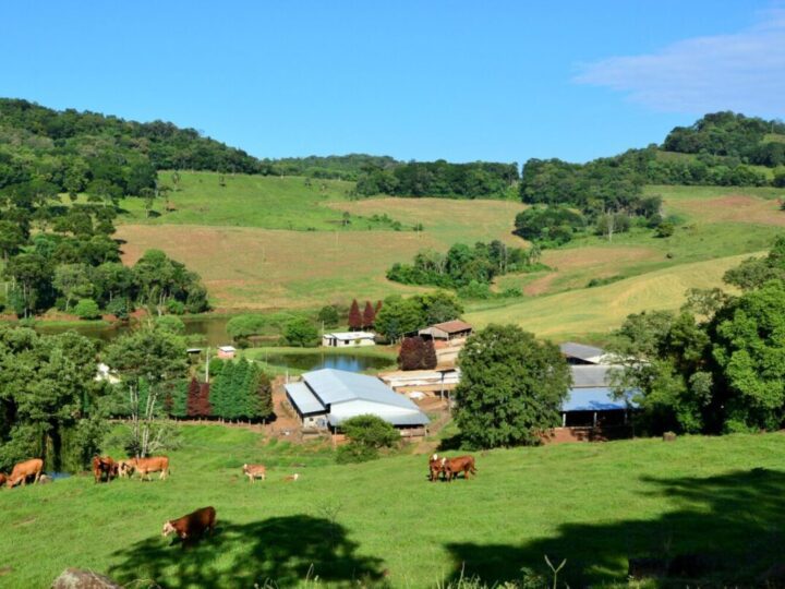 Governo catarinense une órgãos para proteger agro e pesca de temporais