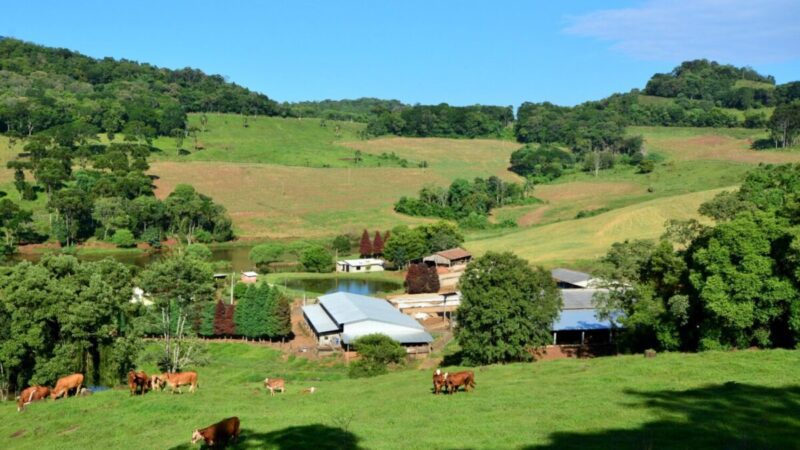 Governo catarinense une órgãos para proteger agro e pesca de temporais