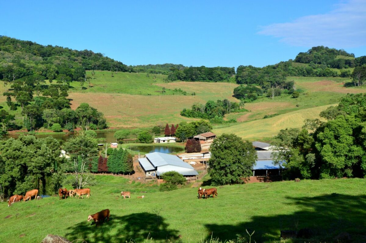 Governo catarinense une órgãos para proteger agro e pesca de temporais