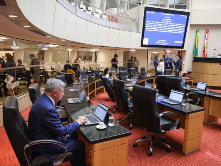 Deputados discutem segurança em creches, água e eleições na Alesc