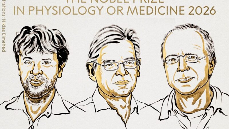 Técnica premiada com o Nobel usa luz para controlar neurônios