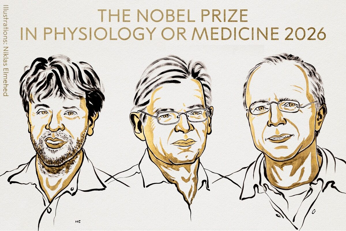Técnica premiada com o Nobel usa luz para controlar neurônios